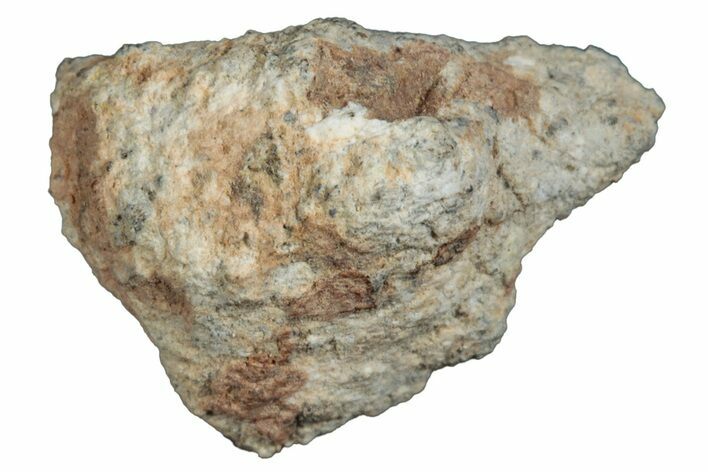 Lunar Meteorite ( g) - Bechar #288505